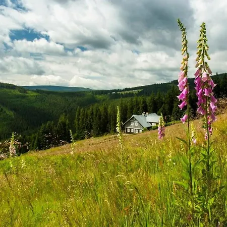 Vrchlabsky Domek U Jirinky Βίλα Vrchlabí
