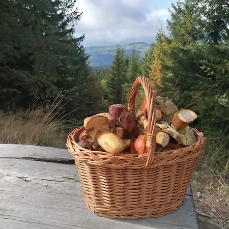 Vrchlabsky U Jirinky Vrchlabi